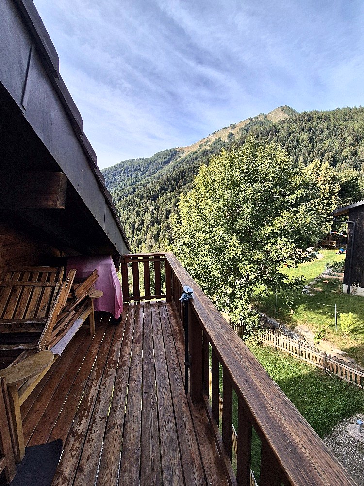 Vue depuis le balcon sur la montagne et la forêt à Ovronnaz